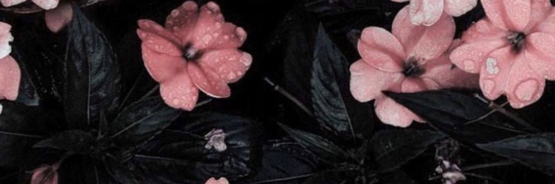 s2eedv's profile banner image