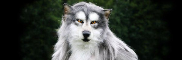 EZ_wolf Profile Banner