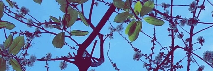 Sassou_Zbd's profile banner image