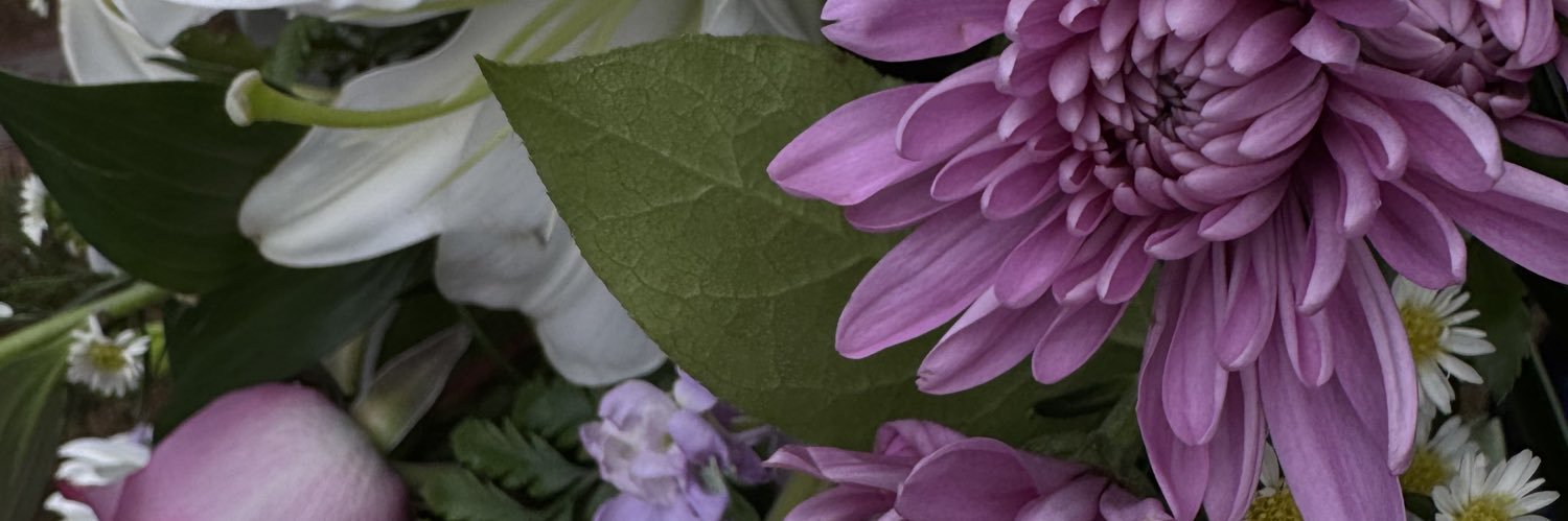 skygeffinger's profile banner image
