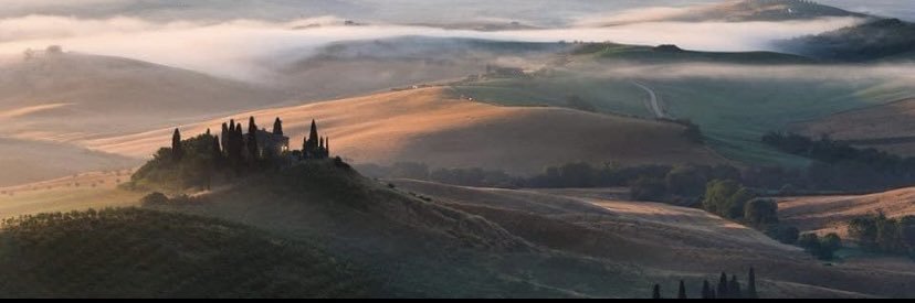 Irene Ceccherini banner