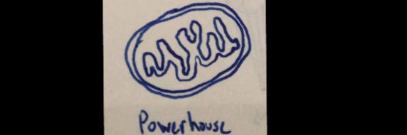 Rpalli's profile banner image