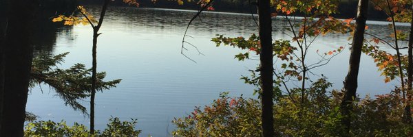 MrTRaynard Profile Banner