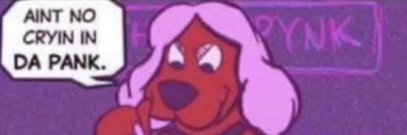 LoveTonka's profile banner image