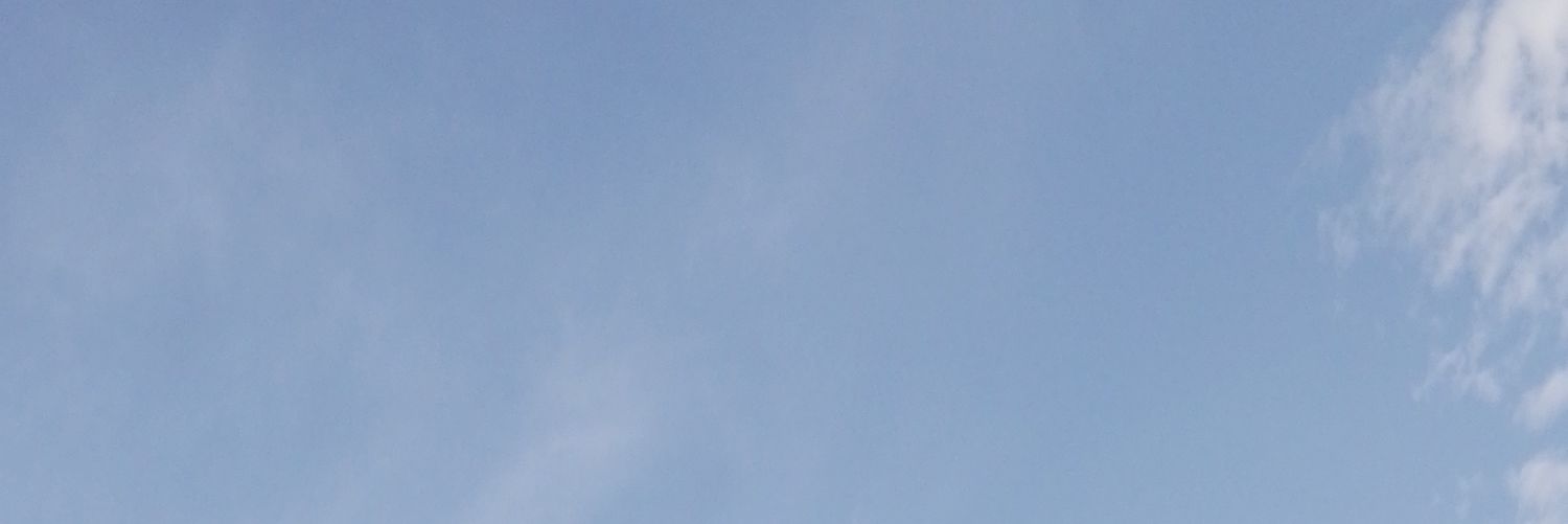 vleiwilly1's profile banner image