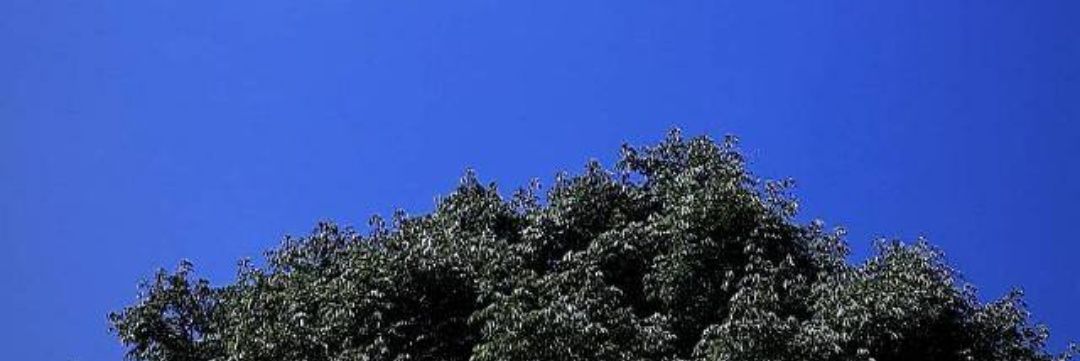 CesarLopez959's profile banner image
