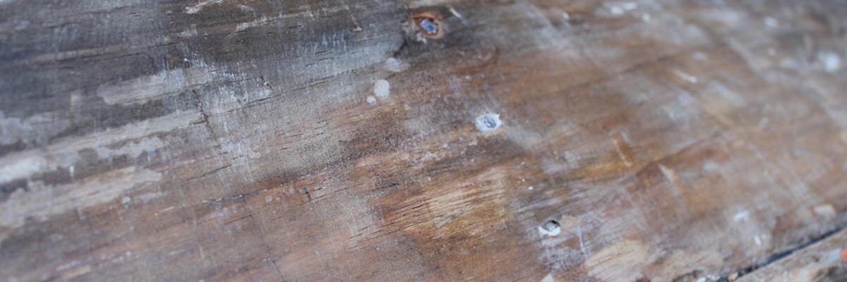 Gabi_WRT's profile banner image