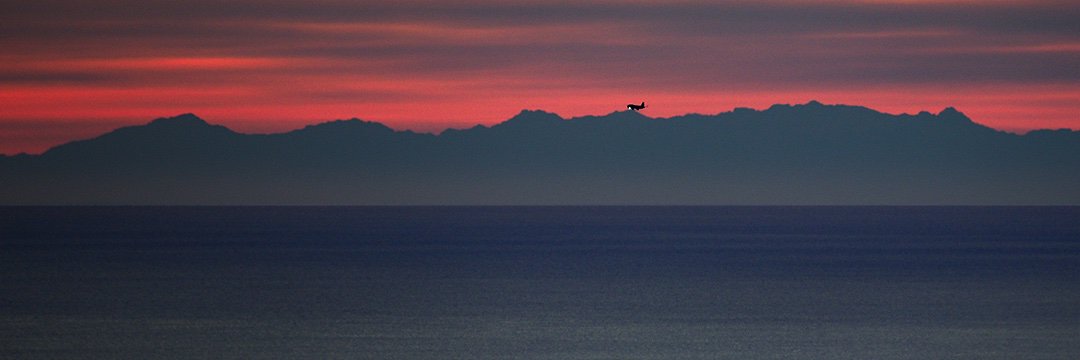 JohnCotterPhoto's profile banner image