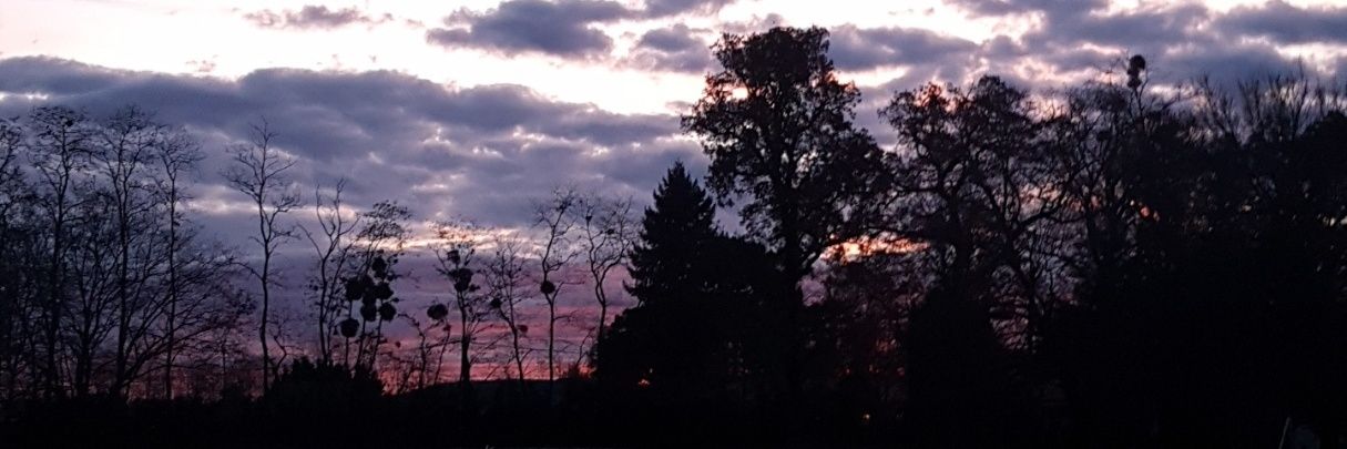 ClemClem09's profile banner image