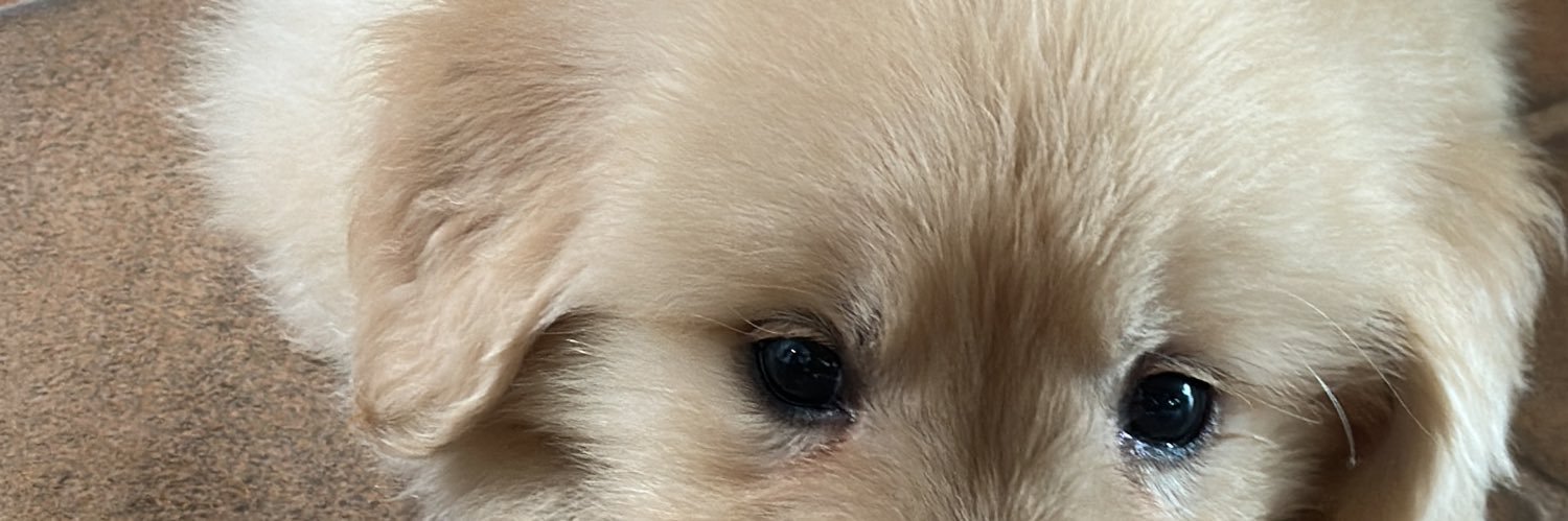 verosoff's profile banner image