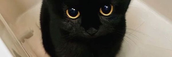krougee Profile Banner