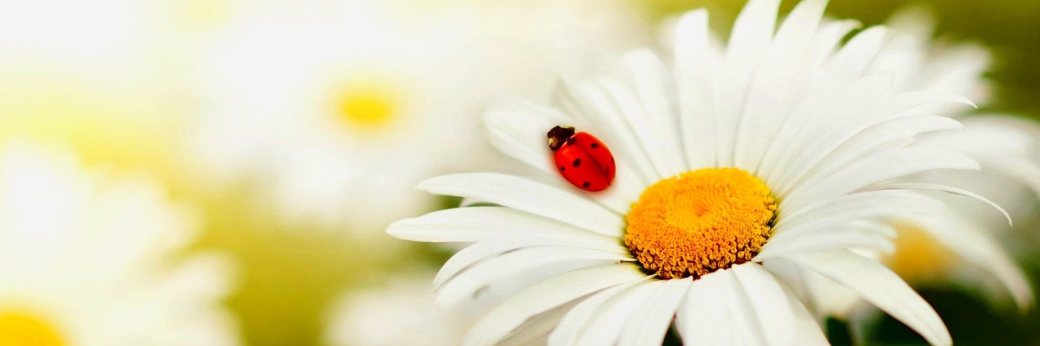 susdeanda's profile banner image