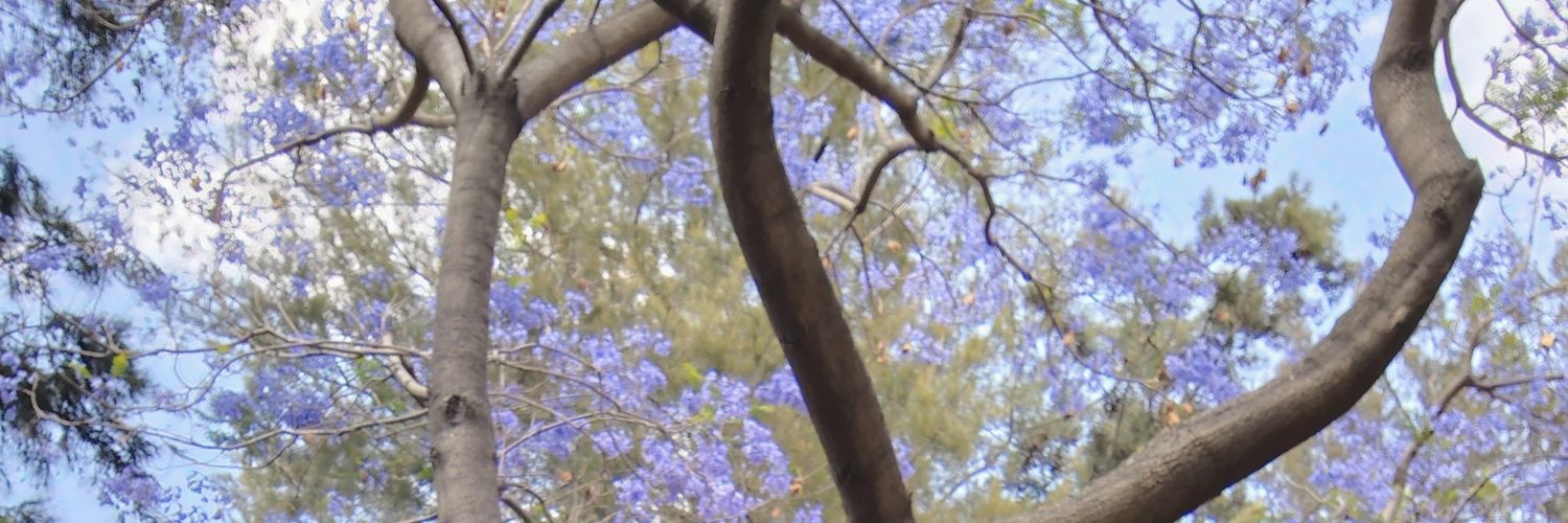 laurasandel's profile banner image