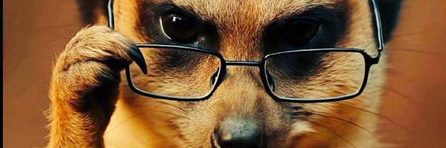 o_mutwiri's profile banner image