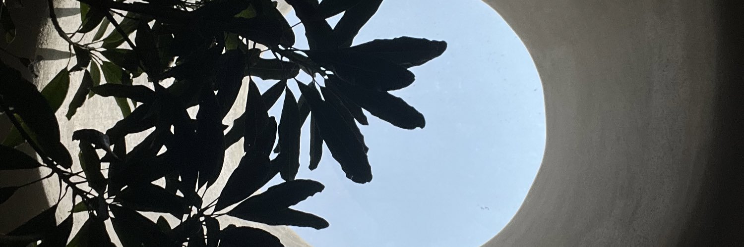 crisferrn's profile banner image