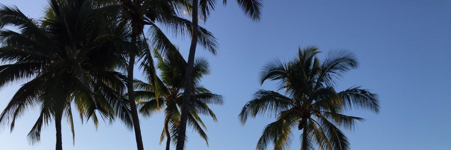 chris_mo95's profile banner image