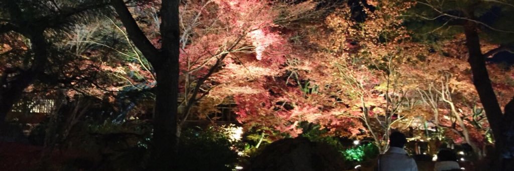 yk_25n's profile banner image