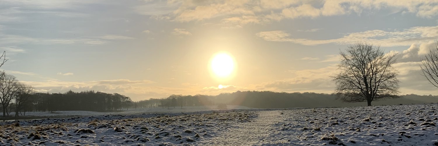 ell_heward's profile banner image