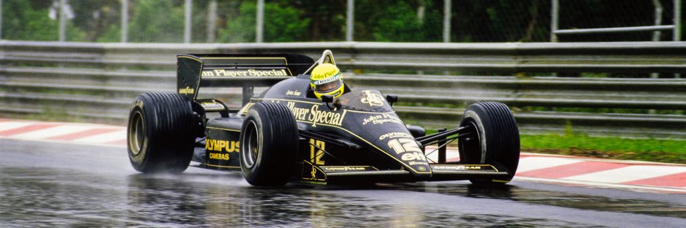 Ryan 🐻‍❄️ banner