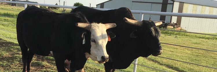 Colter_White's profile banner image