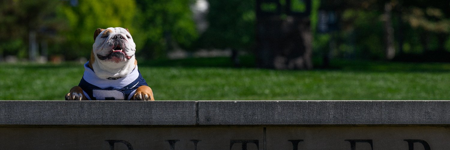 TheButlerBlue's profile banner image