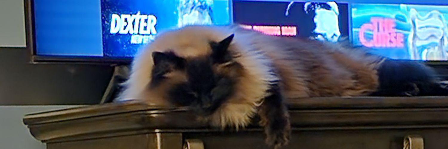 tocaknock's profile banner image