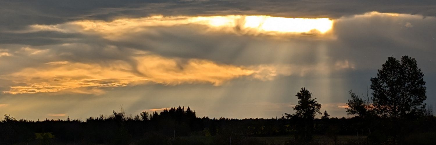 Mike Knightly banner