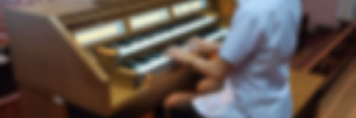 mlvndacara's profile banner image