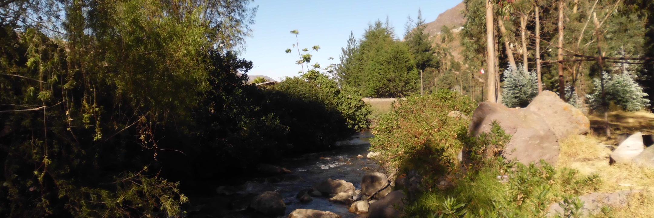 juan de la torre banner