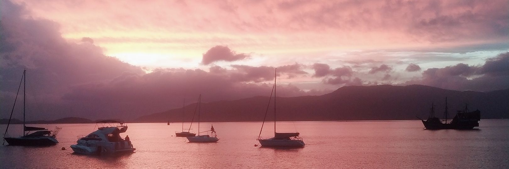 jorgwilson's profile banner image