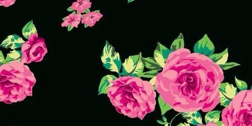 MacaaWolenberg's profile banner image