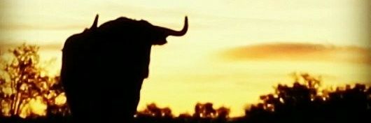 Almatorera©️ banner