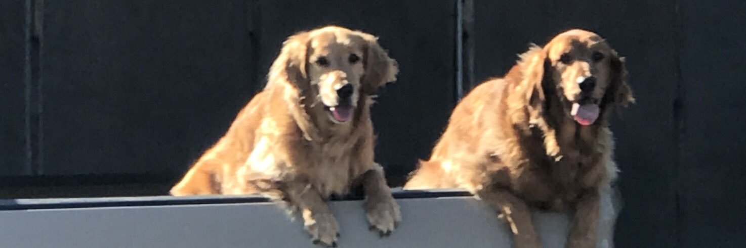 bridgetlewis92's profile banner image
