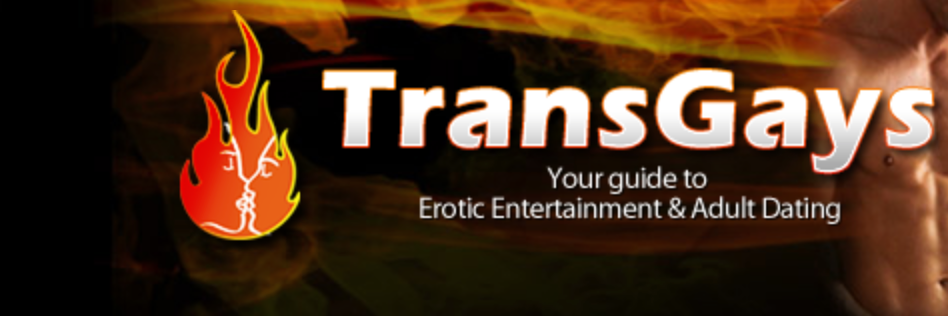 TRANSGAYS's profile banner image
