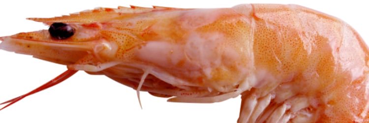pcdoughty's profile banner image