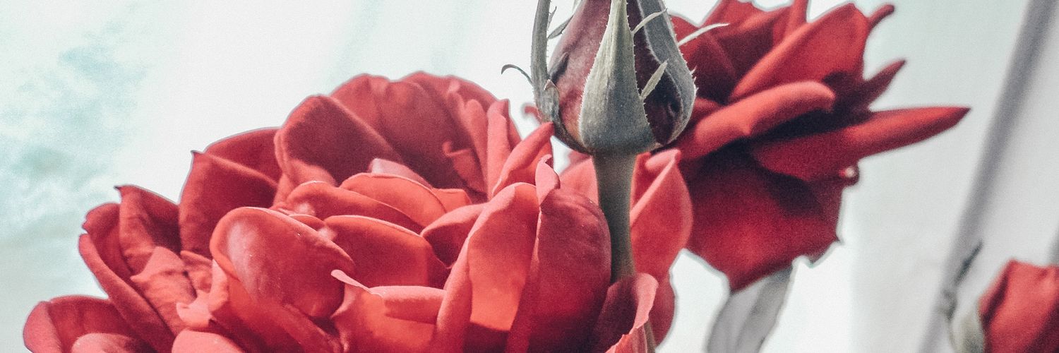 Break__Free_'s profile banner image