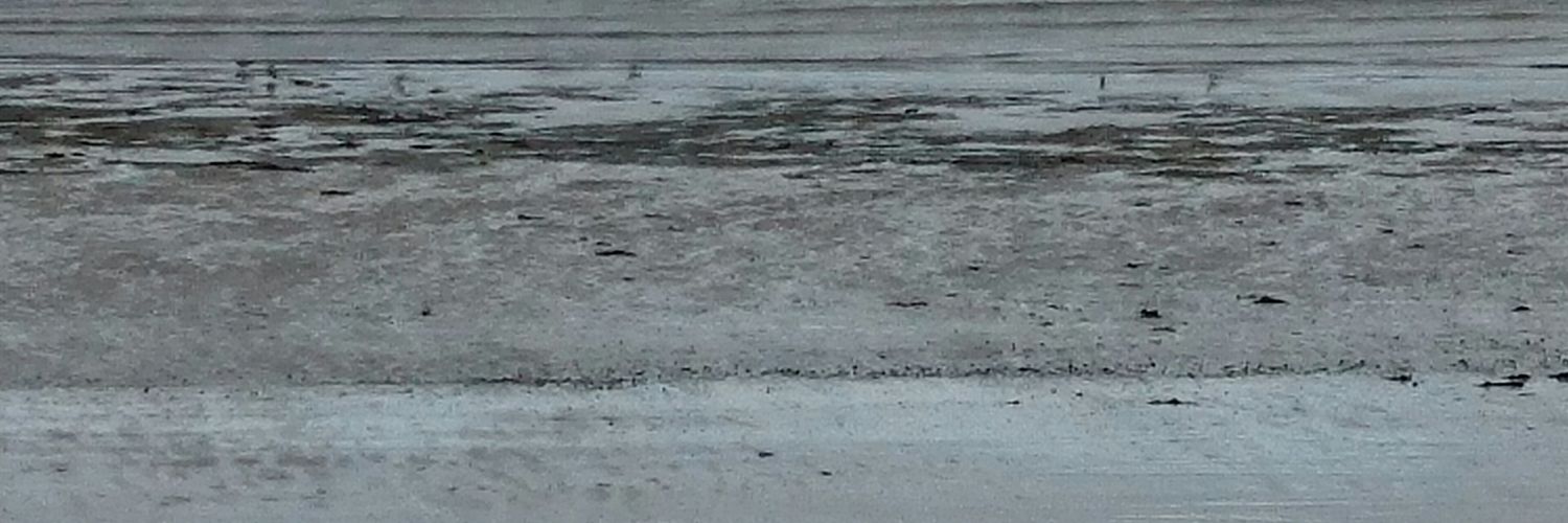 marietfleming's profile banner image