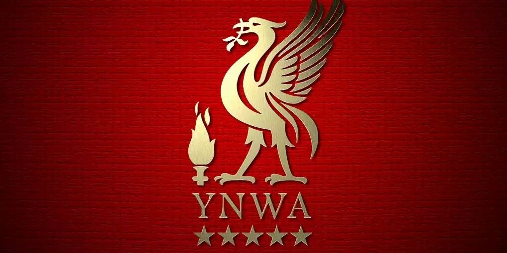 IvanFatra's profile banner image