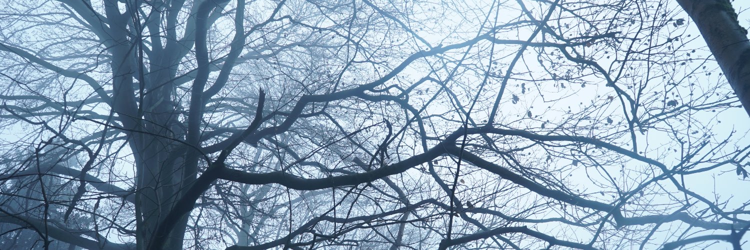 KarolinaSramek's profile banner image