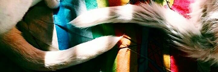 alonso_solci's profile banner image