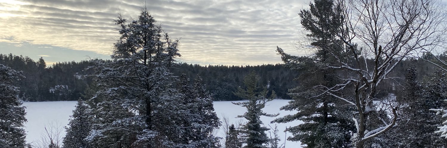 BrWhitehead14's profile banner image