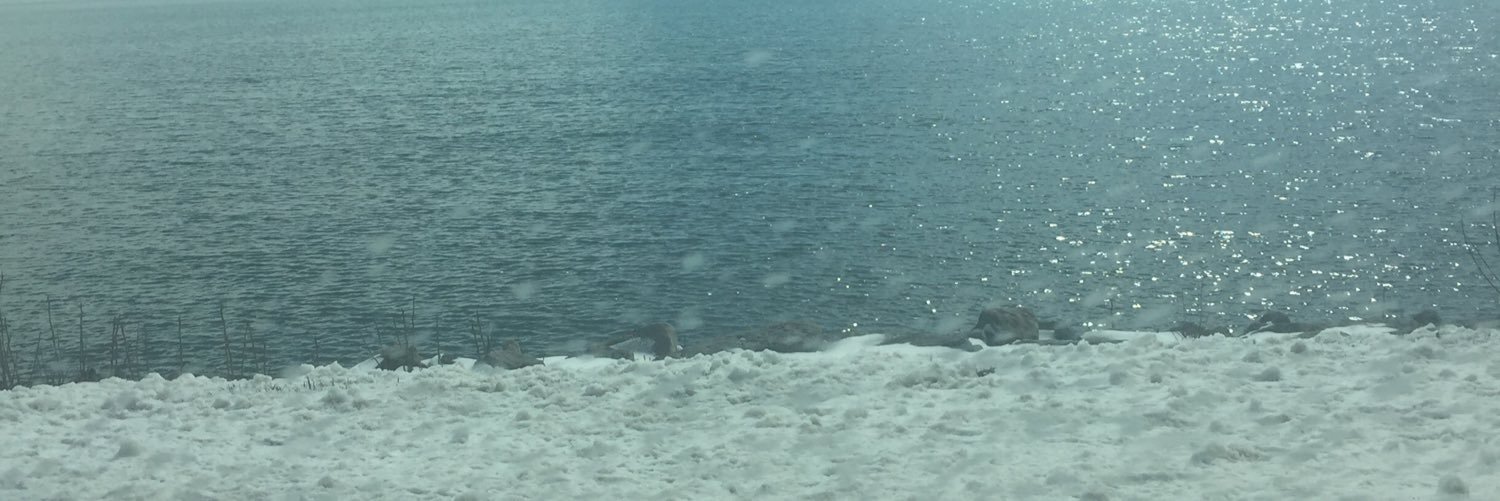 tmacfarlane11's profile banner image