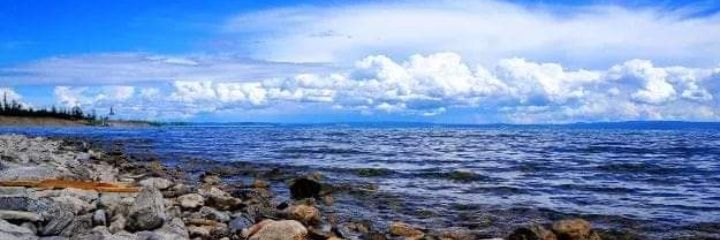 Амараа бариач banner