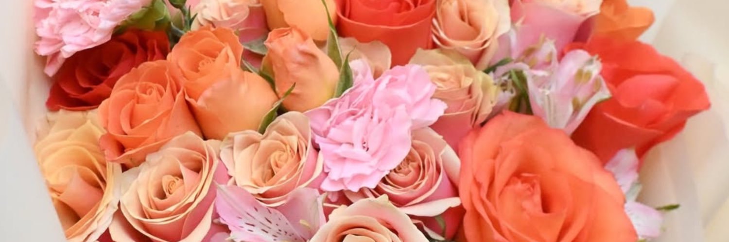 Stefany Durón ᥫ᭡ banner