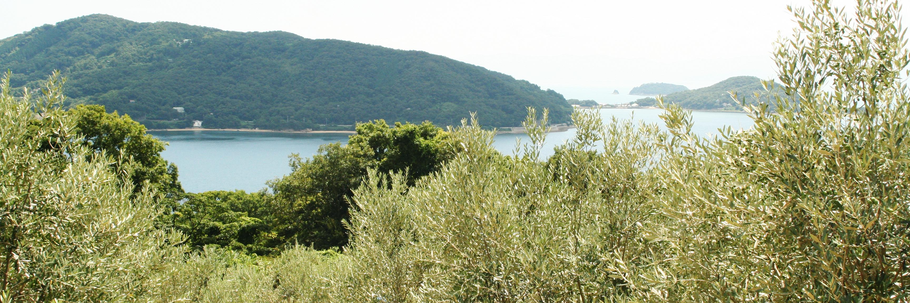 arashirito's profile banner image