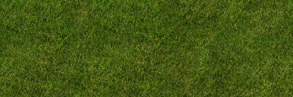 This used to be a cool place banner