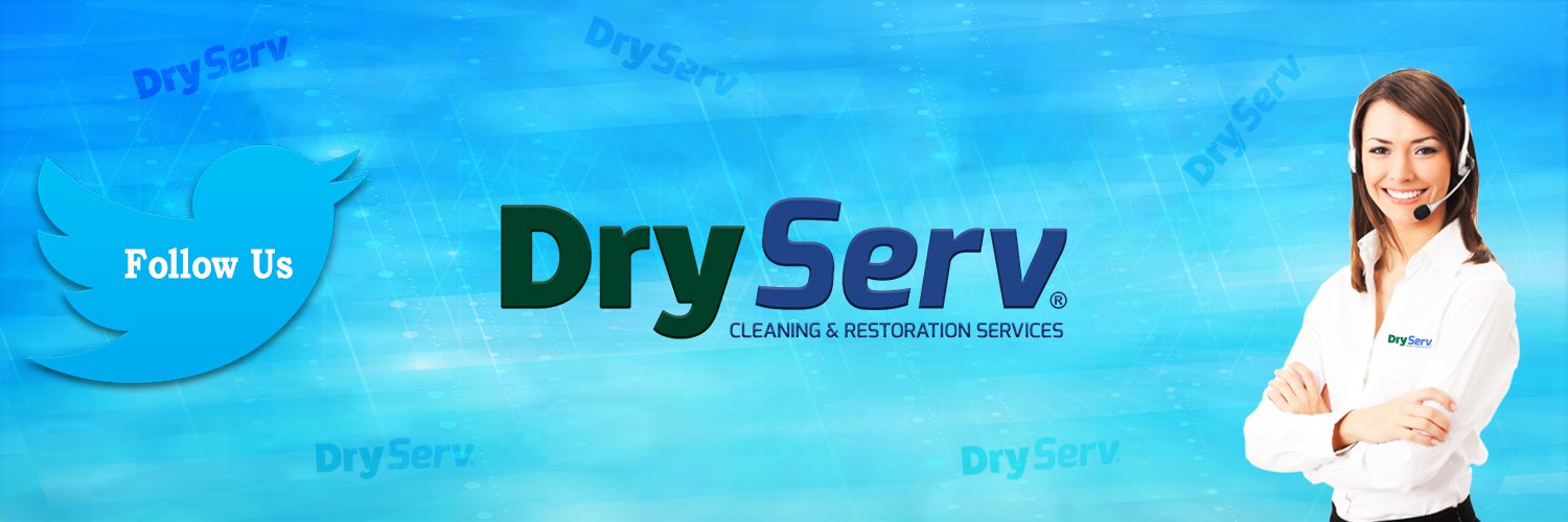 DryServ's profile banner image