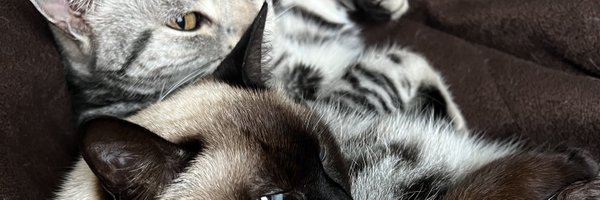 _wder Profile Banner