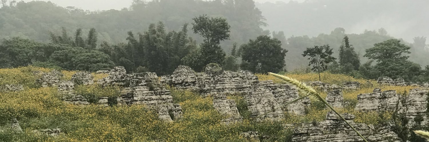rojillasc's profile banner image