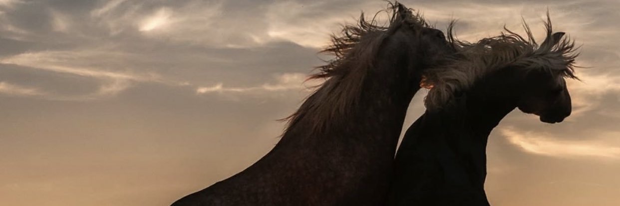 ReemaOne's profile banner image